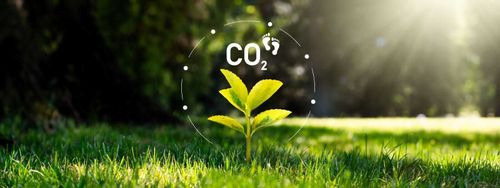 Compensa CO₂ con cada kilómetro: elige el renting verde en tu negocio