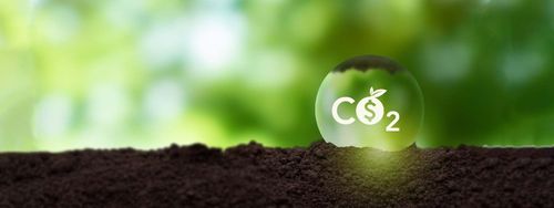 Las ventajas de neutralizar CO2 a través del alquiler de activos